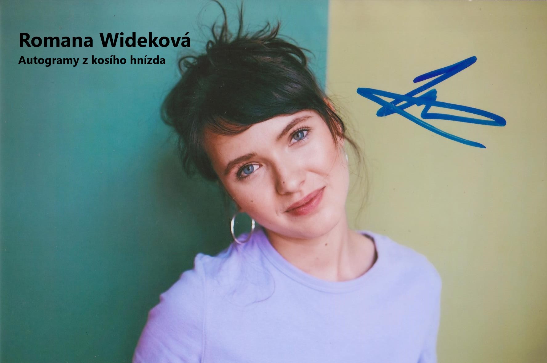 Wideková