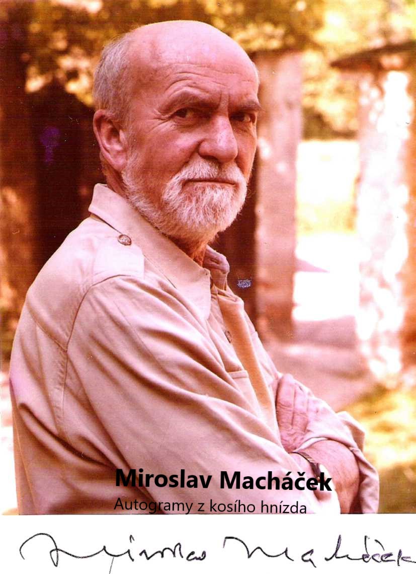 Macháček