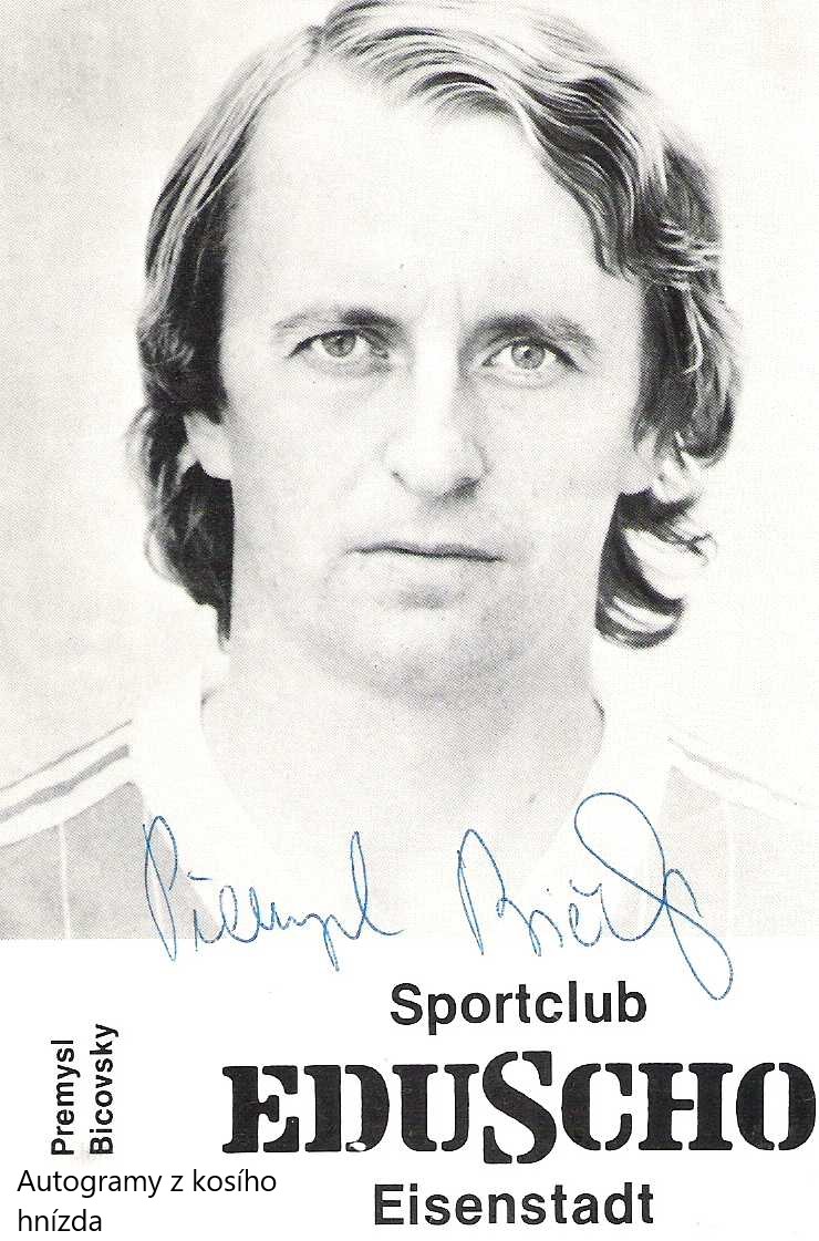 Bičovský