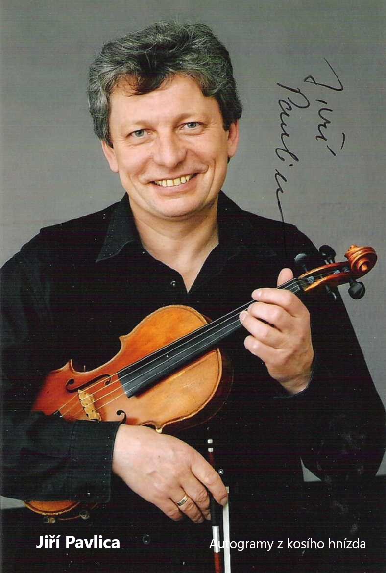 Pavlica