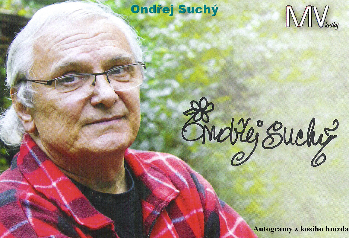 Suchý