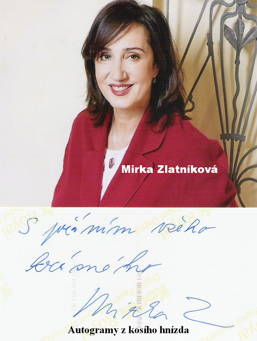zlatníková