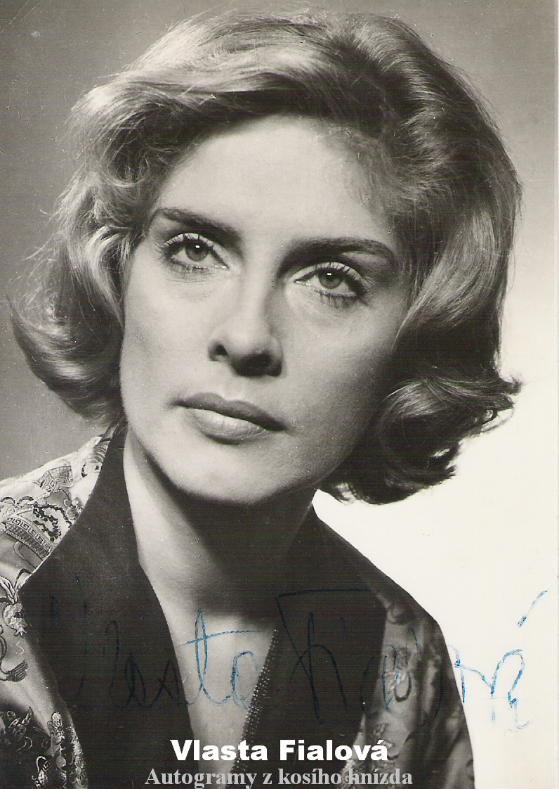 fialová