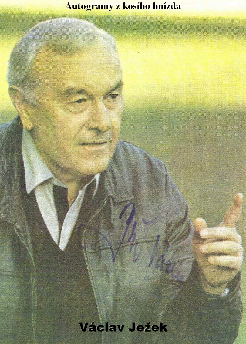 Jezek